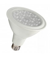 Vive LED PAR 38 Lamp